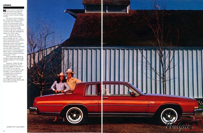 1981 Buick Brochure Page 21